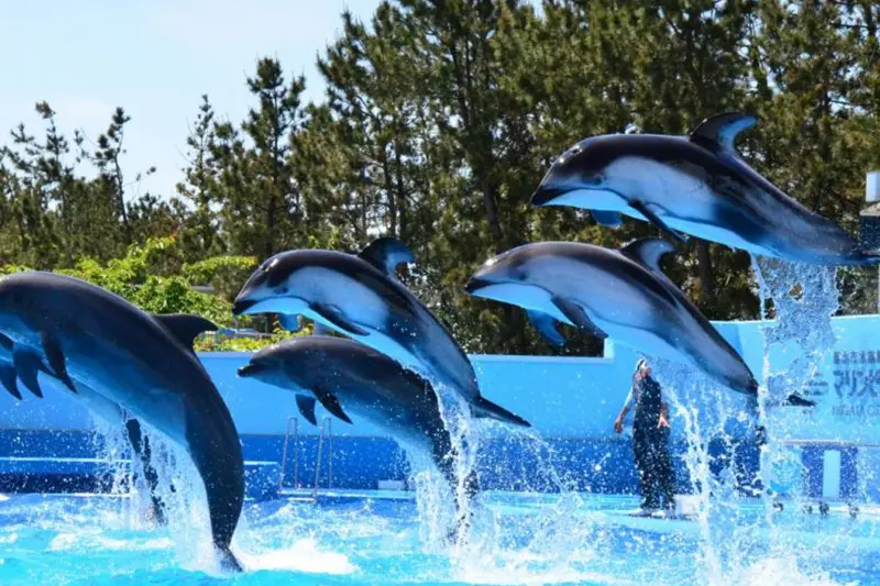 マリンピア日本海